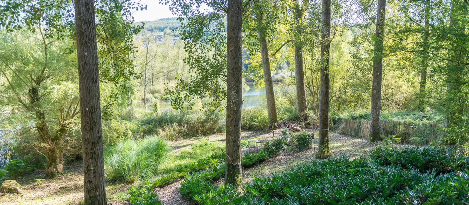 1770285769-21) wilde tuin (17)